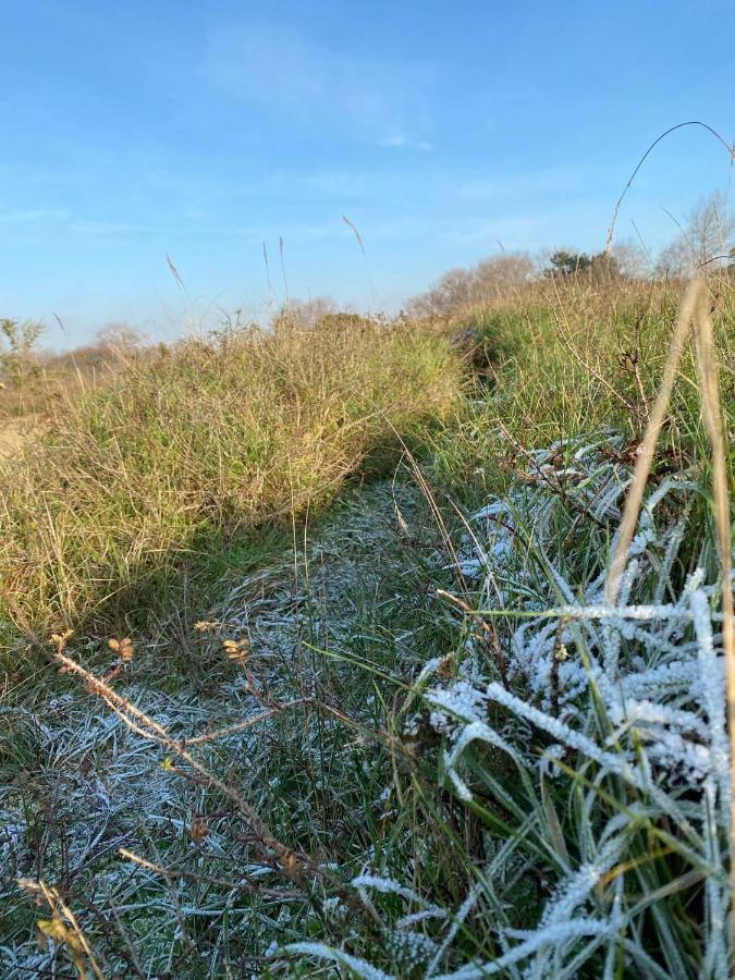Vakantiehuisje38 Koksijde Buitenkant foto